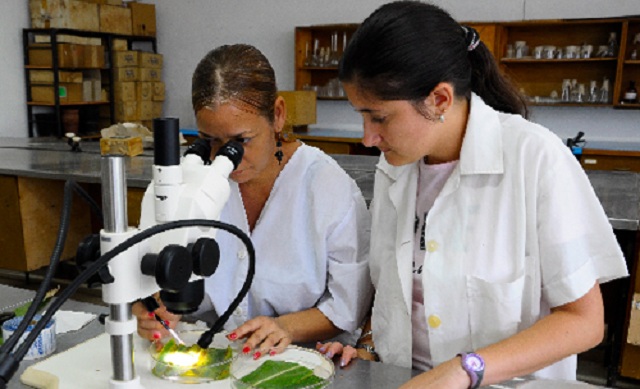 Desarrollo de bioproductos y nutrientes para las plantas en el Centro Nacional de Ciencias Agrícolas.