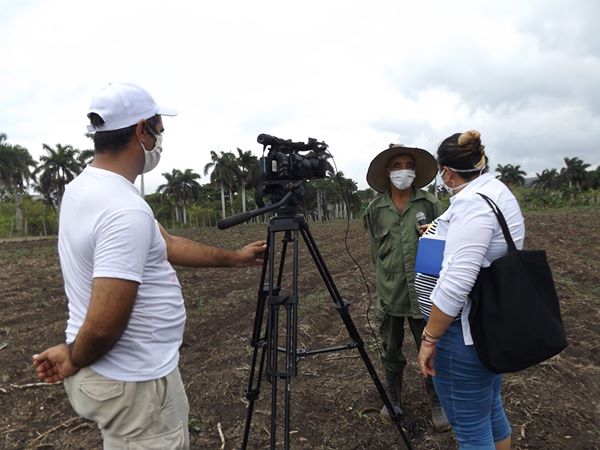 Periodistas de la televisión en Mayabeque