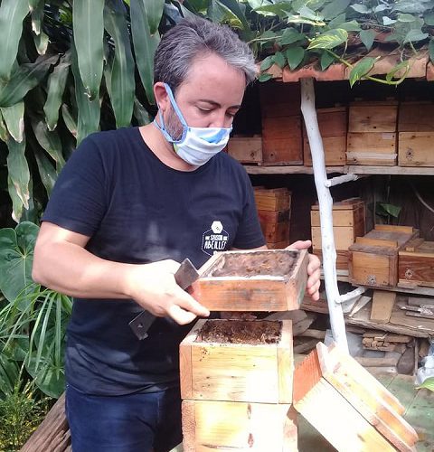 Las bondades de la meliponicultura (Audio)