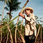 Los campos cañeros padecieron los avatares de la falta de recursos