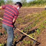 Producción de alimentos.