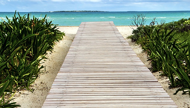 Sandy beaches occupy more than a third of the world coastline.