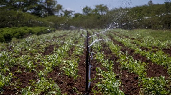 Agricultura