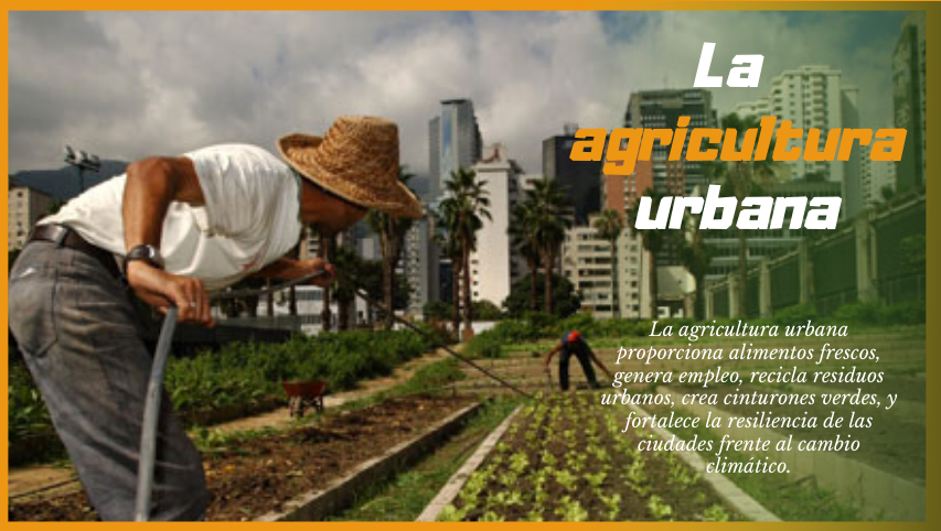 Urban, Suburban and Family Agriculture are committed to local development