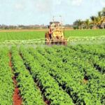 Farmers of Mayabeque contribute to import substitution