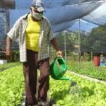 Producir con sentido de la urgencia