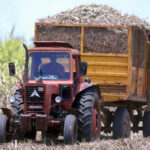 Ready the Conditions for Sugar Harvest in Mayabeque