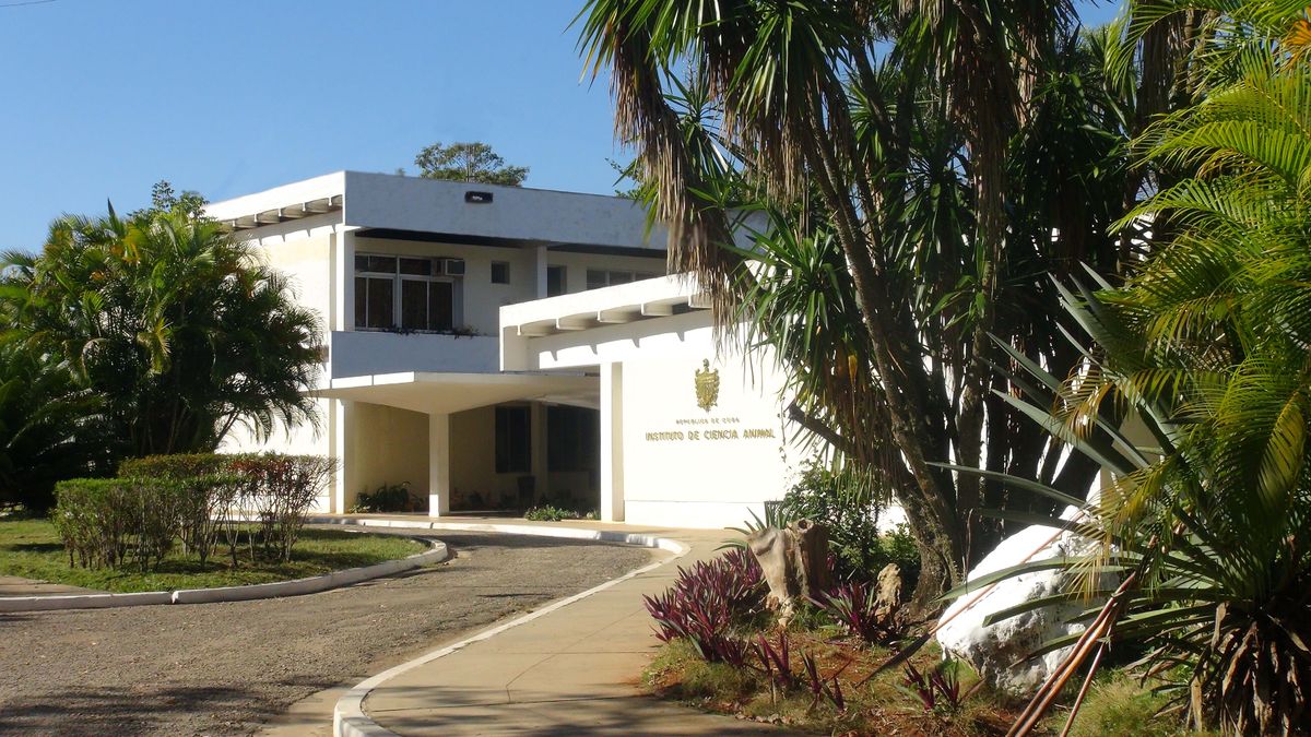 Instituto de Ciencia Animal de Mayabeque