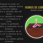 Producers from Bejucal Supply Organic Fertilizer to Several Provinces of the Country