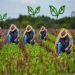 Scientific Projects Materialize National Strategy for Food Sustainability with More Science