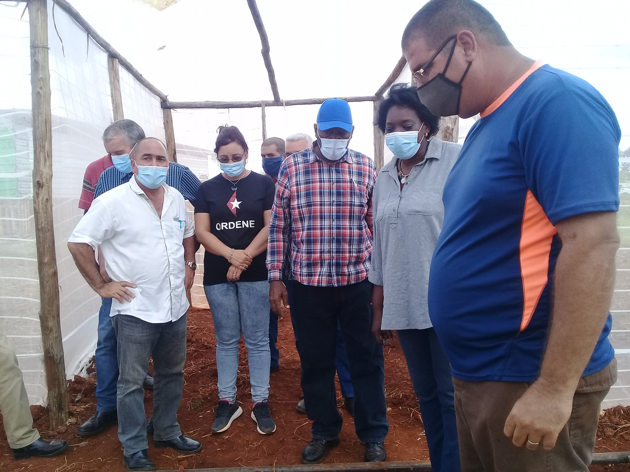 Exhortan a agricultores de Mayabeque a incrementar las producciones y exportaciones.