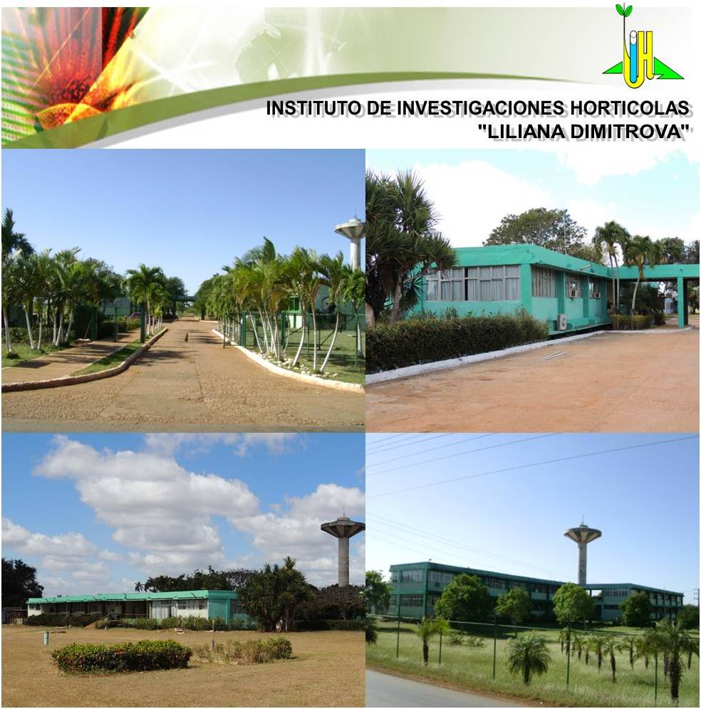 Liliana Dimitrova Horticultural Research Institute, located in Quivicán.