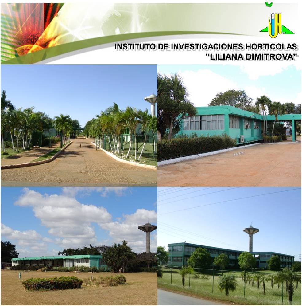 Liliana Dimitrova Institute for Horticultural Research.