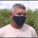 Protegen cultivos en Mayabeque tras lluvias de los últimos días