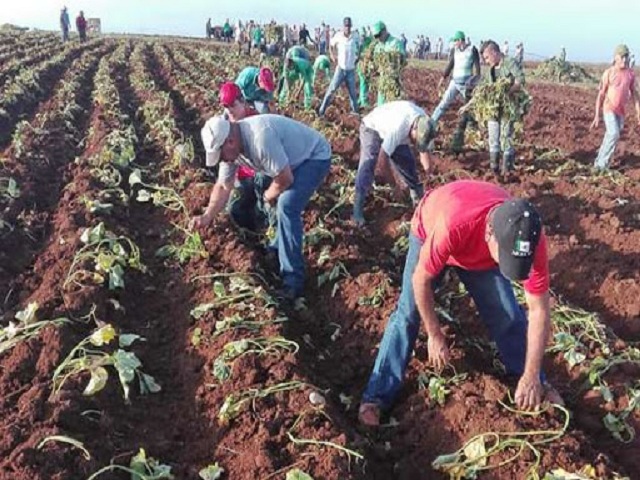 La agricultura y la necesidad de multiplicarse.