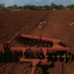 Capacitan a agricultores para exportar sus producciones.