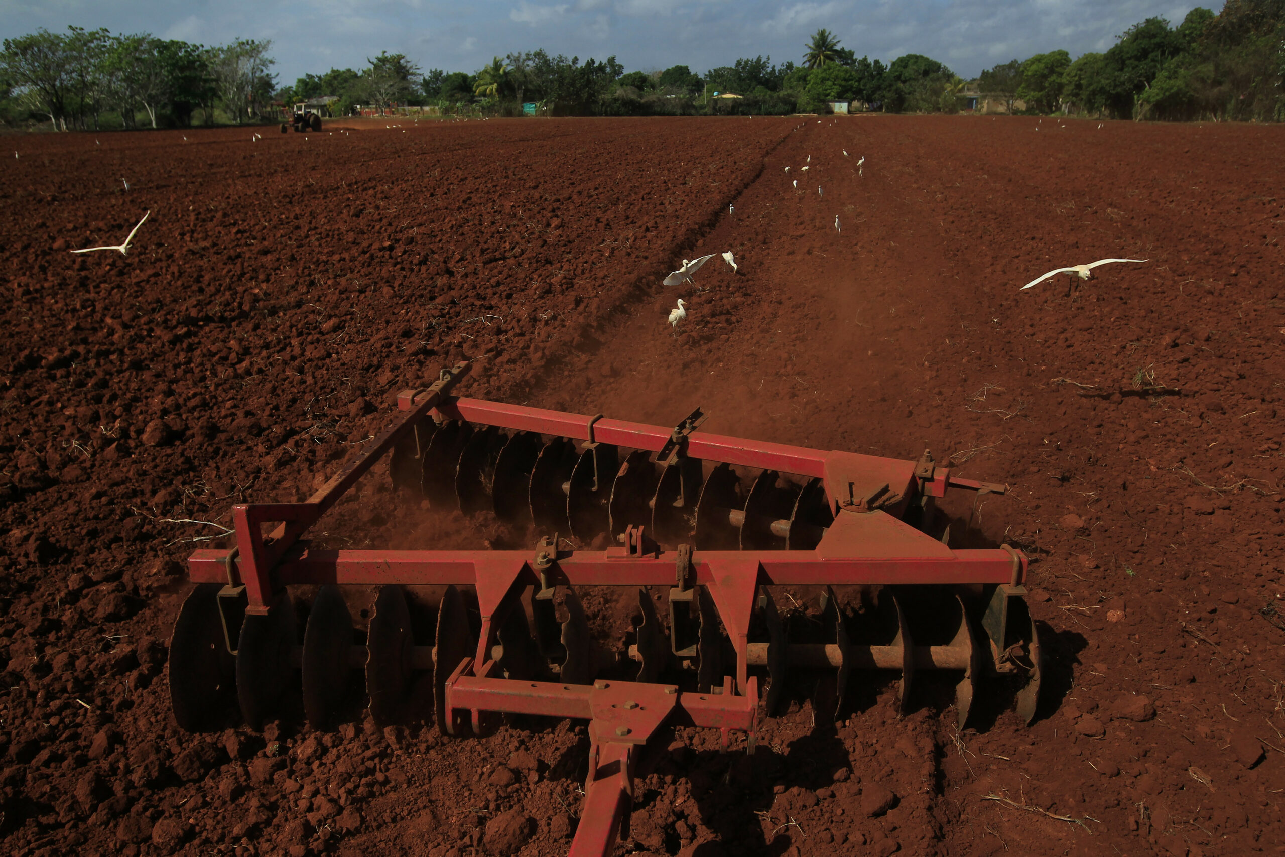 Capacitan a agricultores para exportar sus producciones.