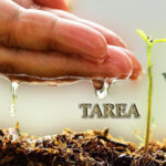 A favor de la conservaci&oacute;n de los suelos (+Audio)