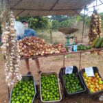 Detectan deficiencias y violaciones de precios en comercializaci&oacute;n de productos agr&iacute;colas (+Audio)