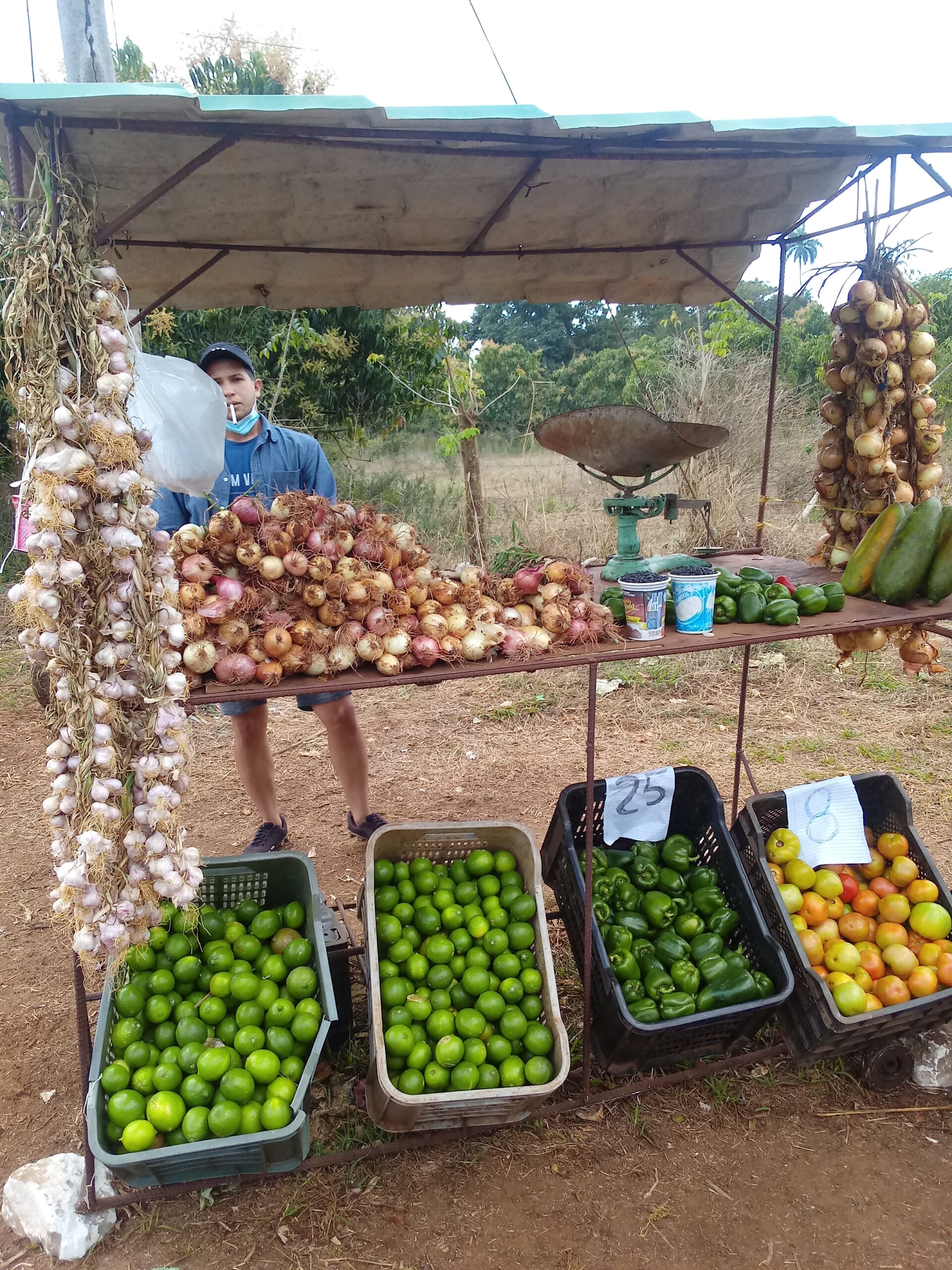 Detectan deficiencias y violaciones de precios en comercialización de productos agrícolas.