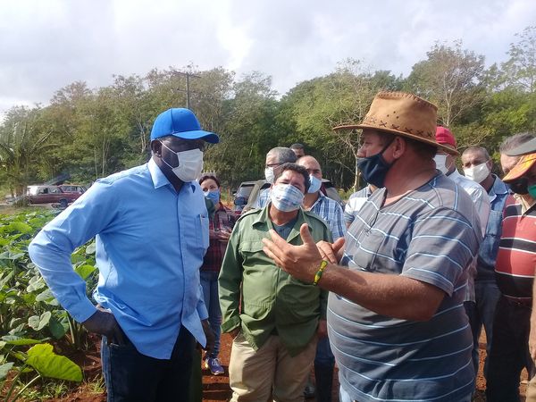 Constatan implementación de Tarea Ordenamiento en sector agroalimentario de Mayabeque.