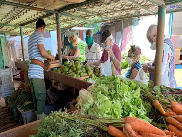 Aprueba Gobierno de La Habana nuevos precios.