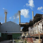 For Better Results in 2021 Sugar Harvest