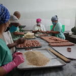 Renovation Winds in Melena del Sur Food Processor