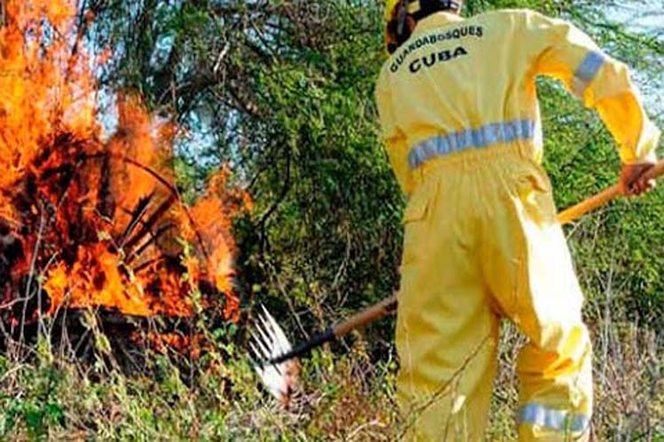 Guardabosques de Cuba reportan incremento de incendios forestales en Mayabeque.