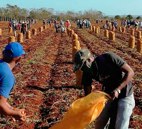 Una jornada para impulsar la producción de alimentos. Foto: Trabajadores