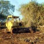 Avanza Mayabeque en la recuperación de áreas boscosas para sembrar productos agrícolas