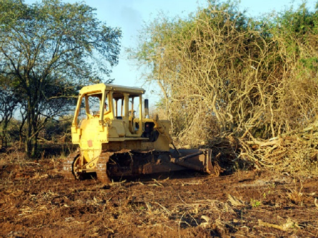Avanza Mayabeque en la recuperación de áreas boscosas para sembrar productos agrícolas.