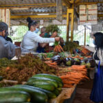 Guaranteeing Food for the Population: Priority in Bataban&oacute;