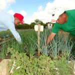 Inicia en Bataban&oacute; tarea Integraci&oacute;n como parte de la Tarea Ordenamiento