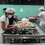 A buen ritmo producción en unidad empresarial de base Alimentos y Productos Varios en Nueva Paz