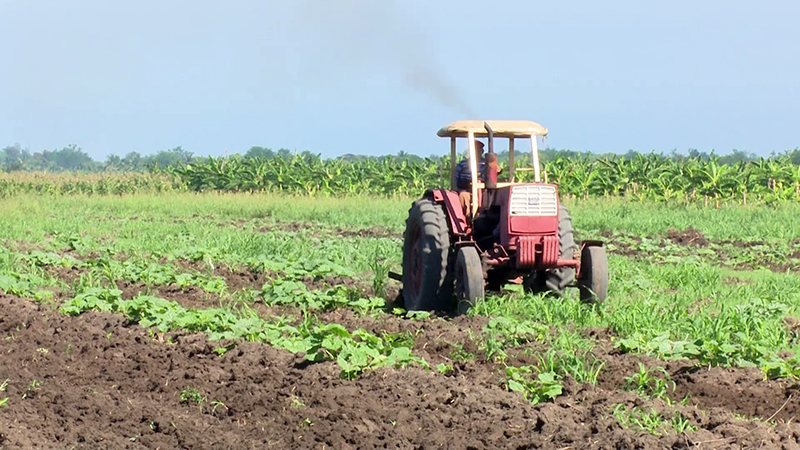 Preparations for planting land in the spring campaign in Quivicán.