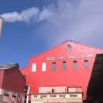 Déficit de caña incide en cumplimiento de planes productivos (+ Audio)