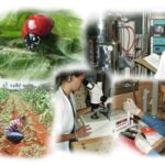 Investigadores de Mayabeque  preservan la salud vegetal en Cuba