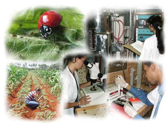 Investigadores de Mayabeque preservan la salud vegetal en Cuba.