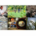 Acceptance of Job Offers Grows in Mayabeque