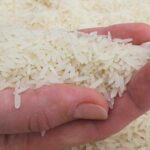 Implementan estrategias económicas en Empresa Agroindustrial de Granos Mayabeque