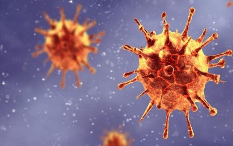 Presence of new SARS-CoV-2 virus strains confirmed in Matanzas.