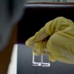 BioCen Strengthens Scientific Leadership Amid Pandemic