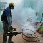 Extreme Measures in San Nicolás to Prevent Proliferation of Aedes Aegypti mosquito