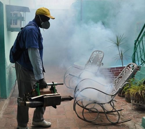 Measures in San Nicolás to prevent the proliferation of the Aedes Aegypti mosquito.