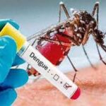 Eliminating Aedes Aegypti is Avoiding Dengue