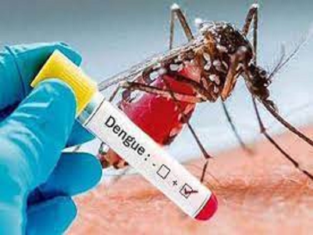 Eliminar el Aedes Aegypti es evitar el dengue.