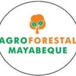 Cumplen planes productivos en Empresa Agroforestal Mayabeque.