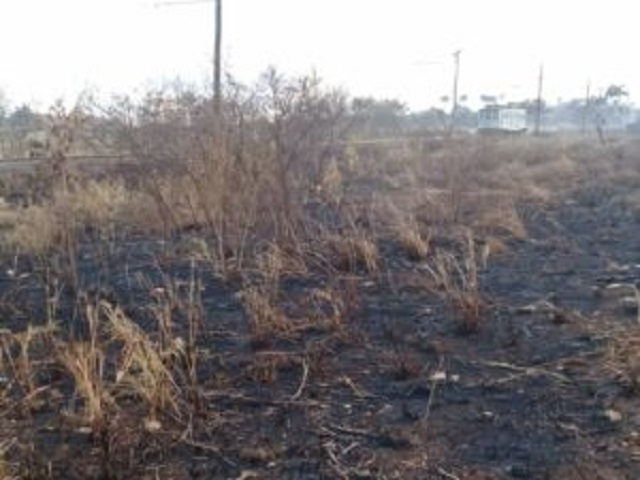 The incident spread to the cane fields.