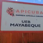 Pretenden superar record productivo en Empresa Apícola de Mayabeque.